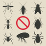 insects control 