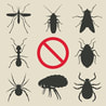 insects control 
