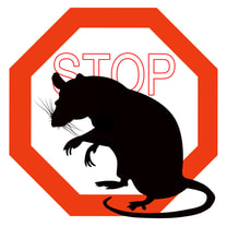 About Our pest control services