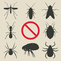 Insect pest control services